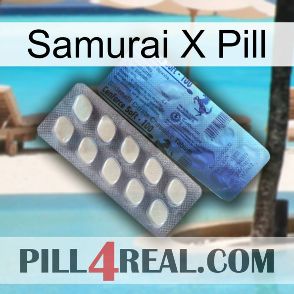 Samurai X Pill 34.jpg